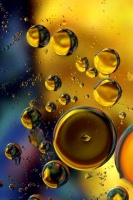 IMG 7942editcrop