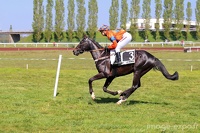 Hippodrome
