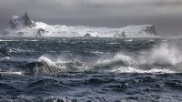 Shetland du sud