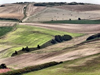 Champs au Cap Gris-Nez v2 (17/08/11 15:31)