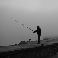 Brouillard matinal