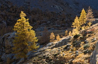 Mercantour