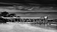 DSC 6566