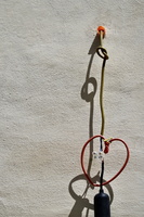 Un coeur